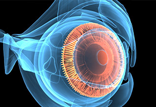 Ophthalmology